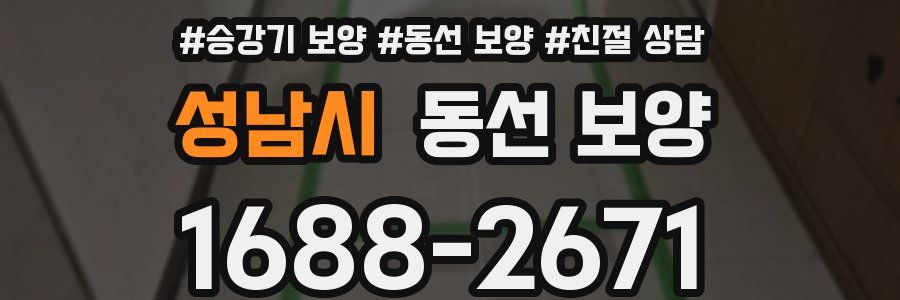 성남시 동선 보양