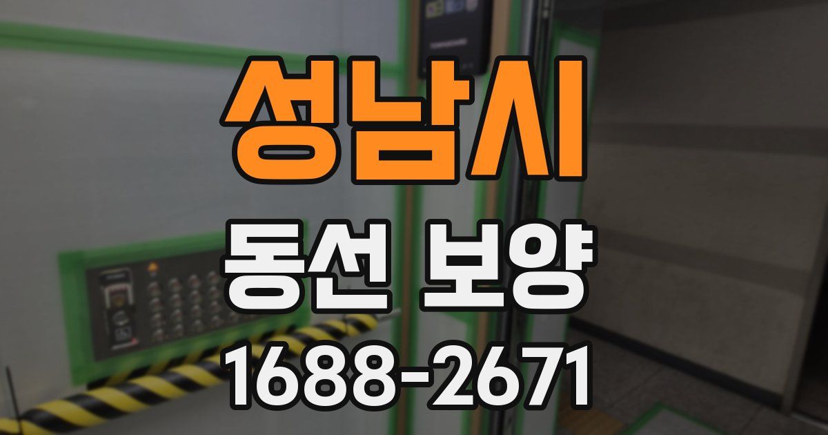 성남시 동선 보양