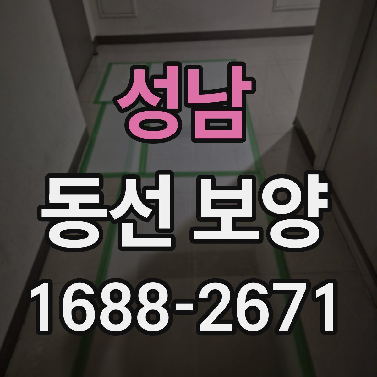 성남 동선 보양