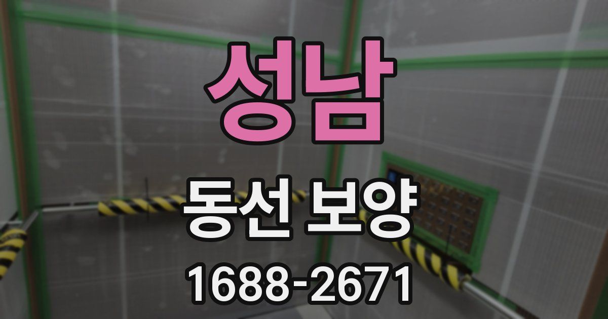 성남 동선 보양