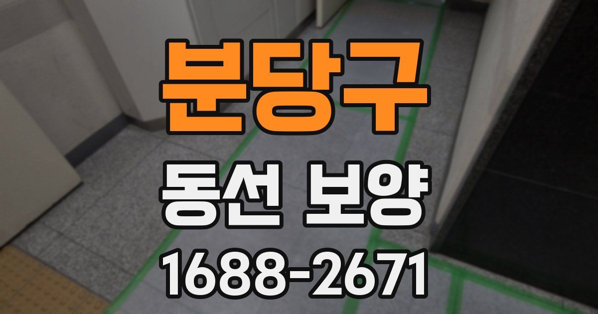 분당구 동선 보양