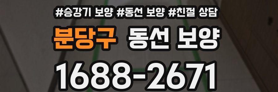 분당구 동선 보양