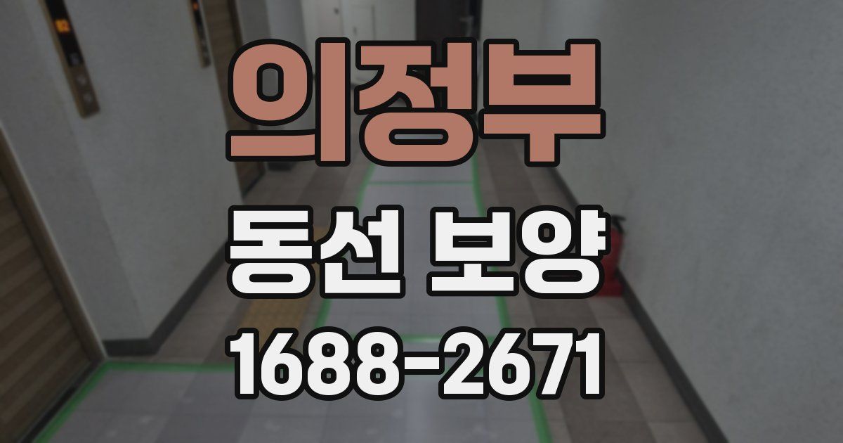 의정부 동선 보양