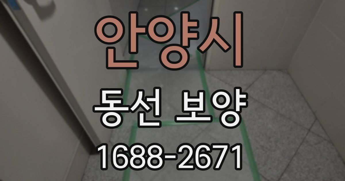 안양시 동선 보양
