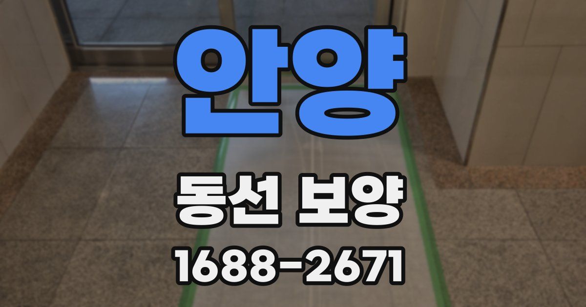 안양 동선 보양