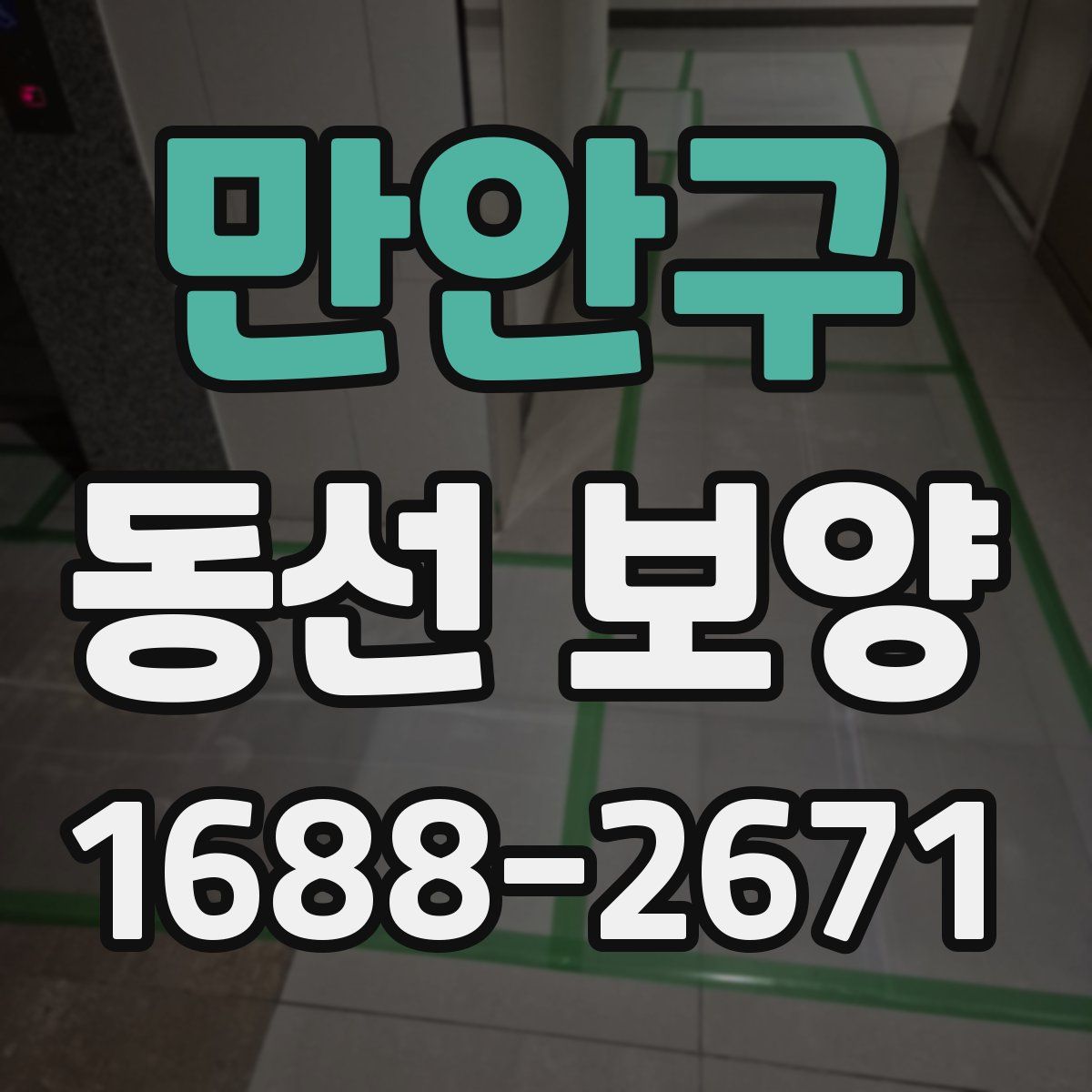만안구 동선 보양
