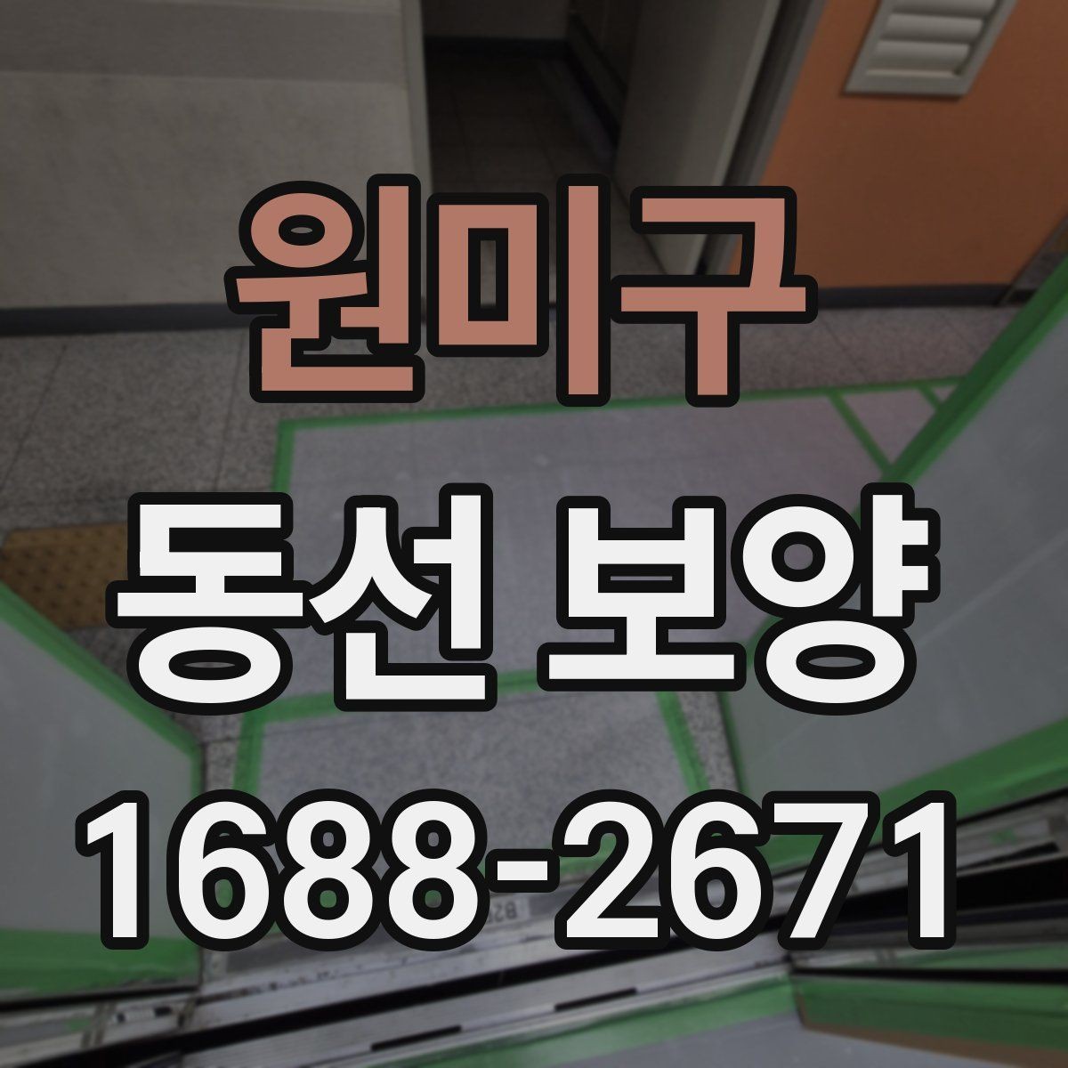 원미구 동선 보양 작업 후 관리 방법 안내