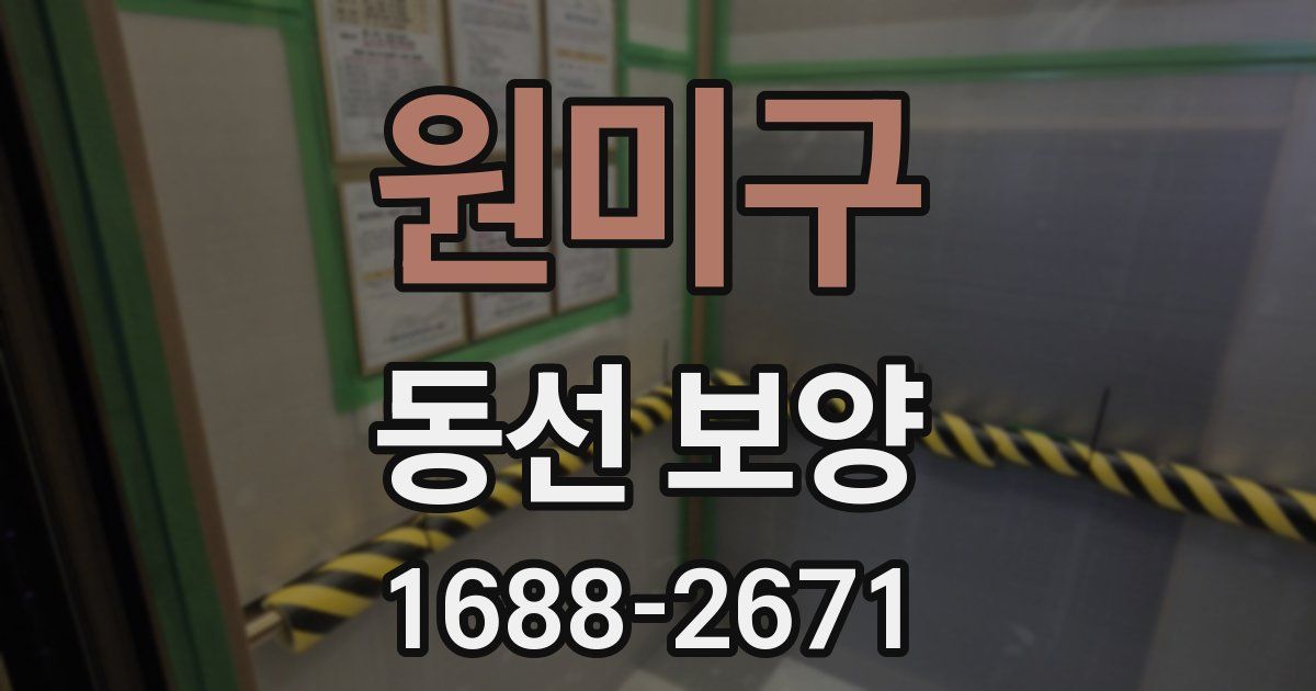 원미구 동선 보양