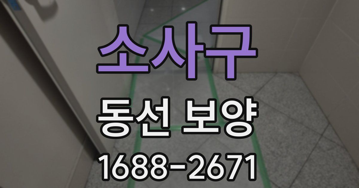 소사구 동선 보양