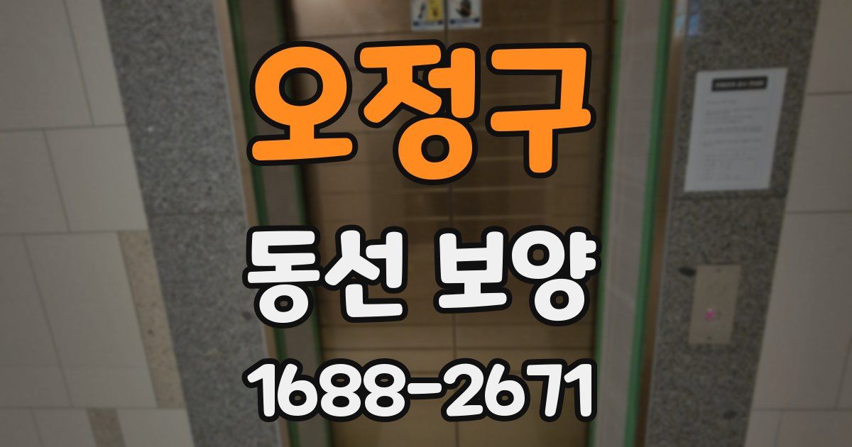 오정구 동선 보양