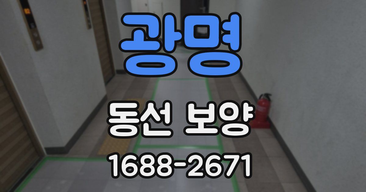 광명 동선 보양