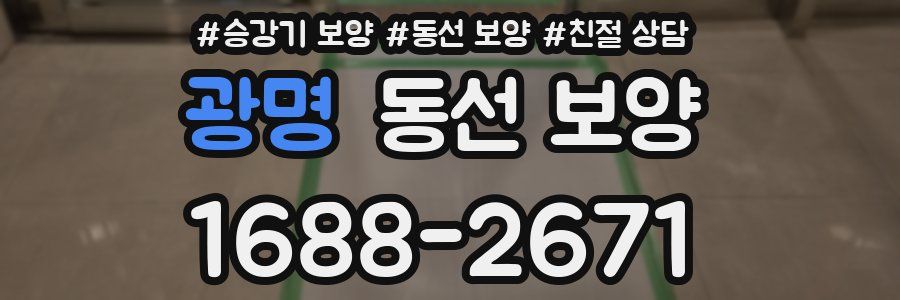 광명 동선 보양