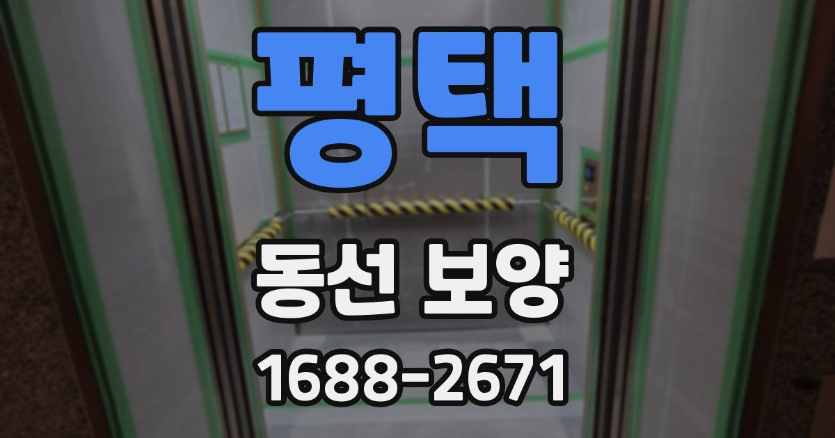 평택 동선 보양