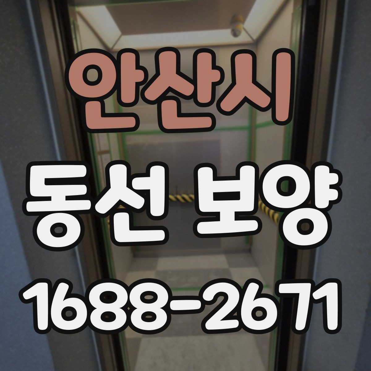 안산시 동선 보양 비용과 품질의 균형 잡기