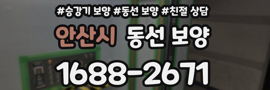 안산시 동선 보양