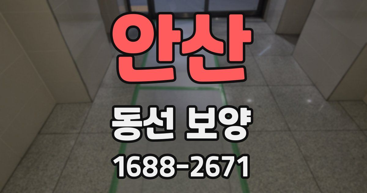 안산 동선 보양