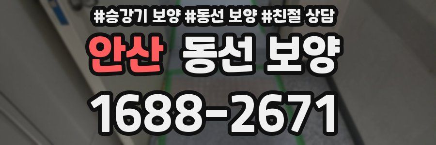 안산 동선 보양