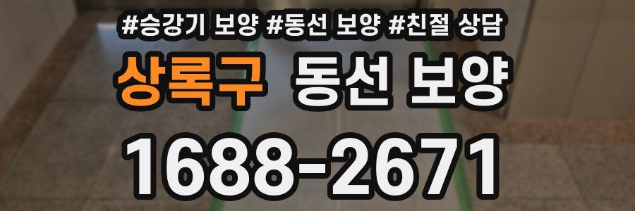 상록구 동선 보양