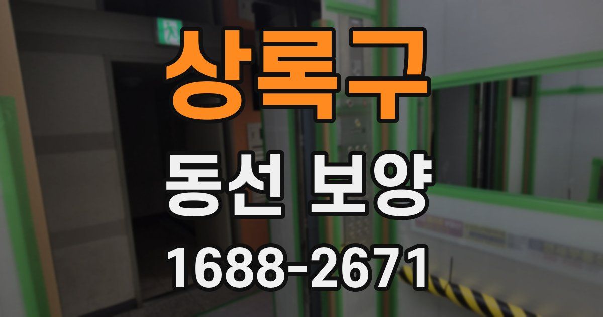 상록구 동선 보양