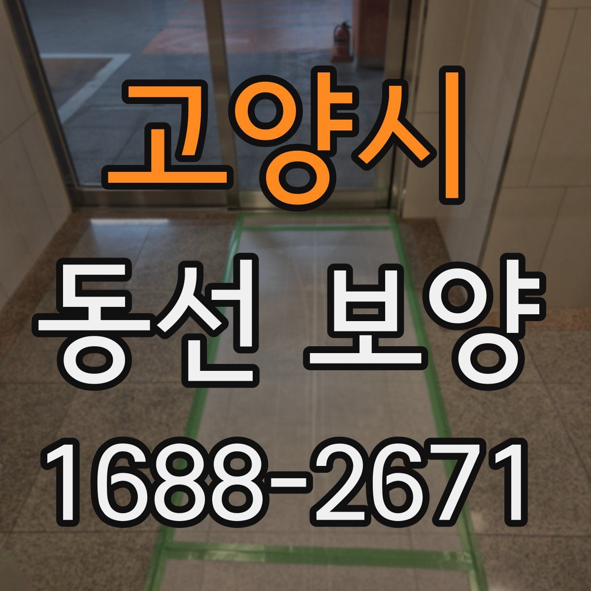 고양시 동선 보양