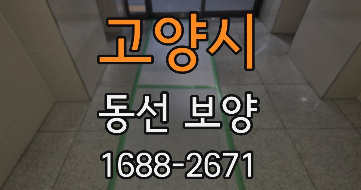 고양시 동선 보양