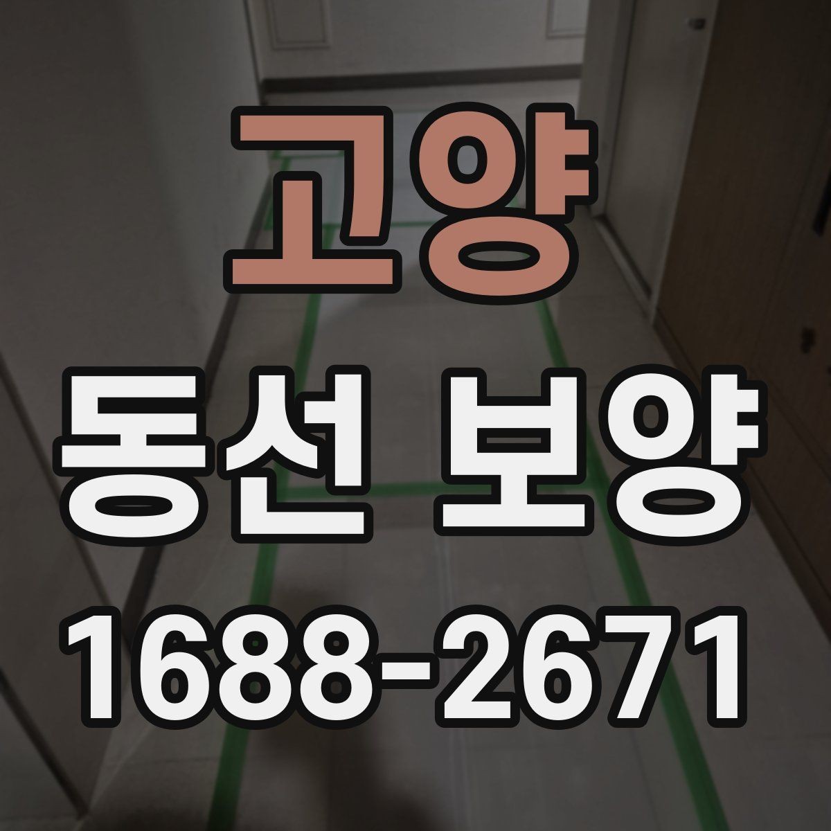 고양 동선 보양 공정별 체크포인트 정리