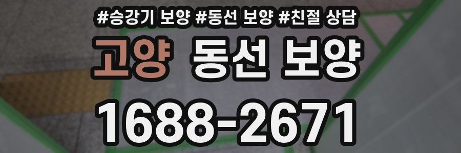 고양 동선 보양