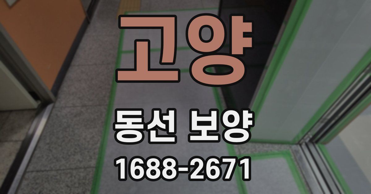 고양 동선 보양