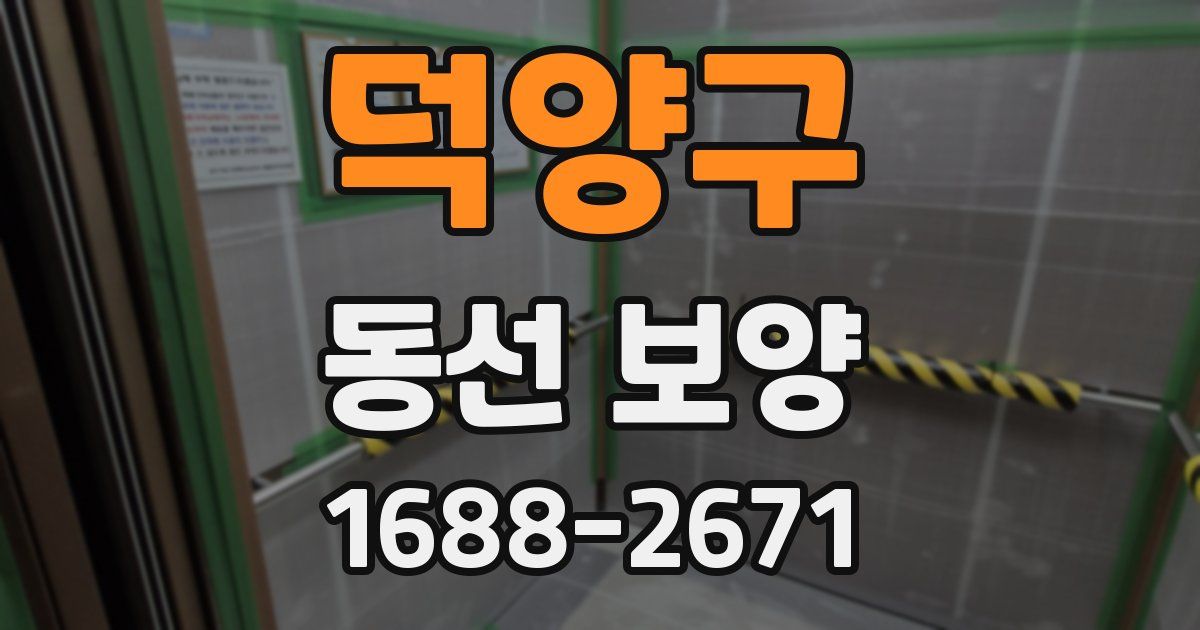 덕양구 동선 보양