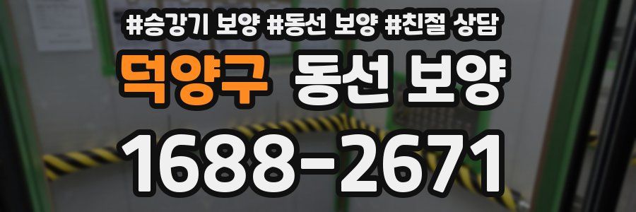 덕양구 동선 보양