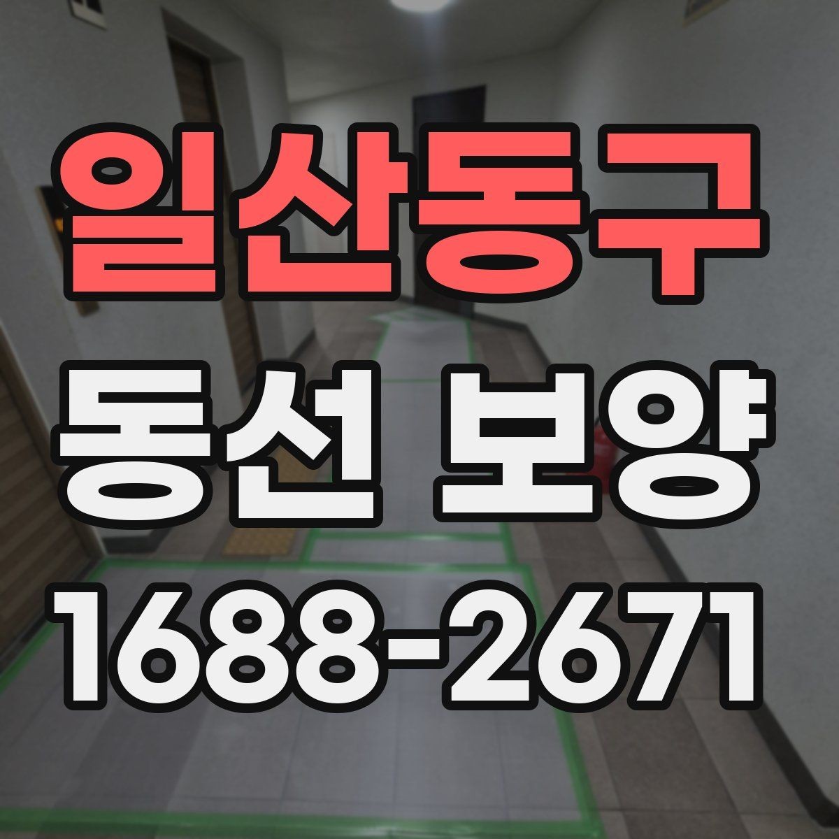 일산동구 동선 보양 현장 점검표로 보는 준비해야 할 항목