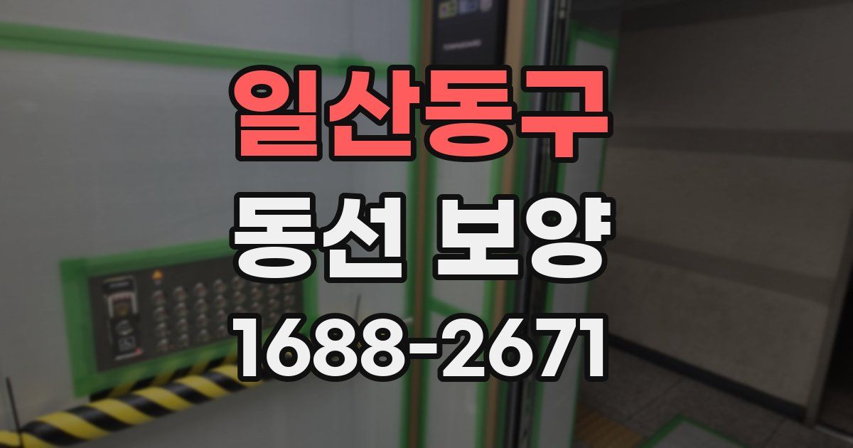 일산동구 동선 보양