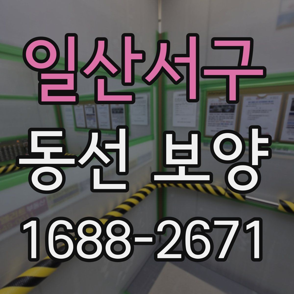 일산서구 동선 보양 범위와 진행 순서 알아보기