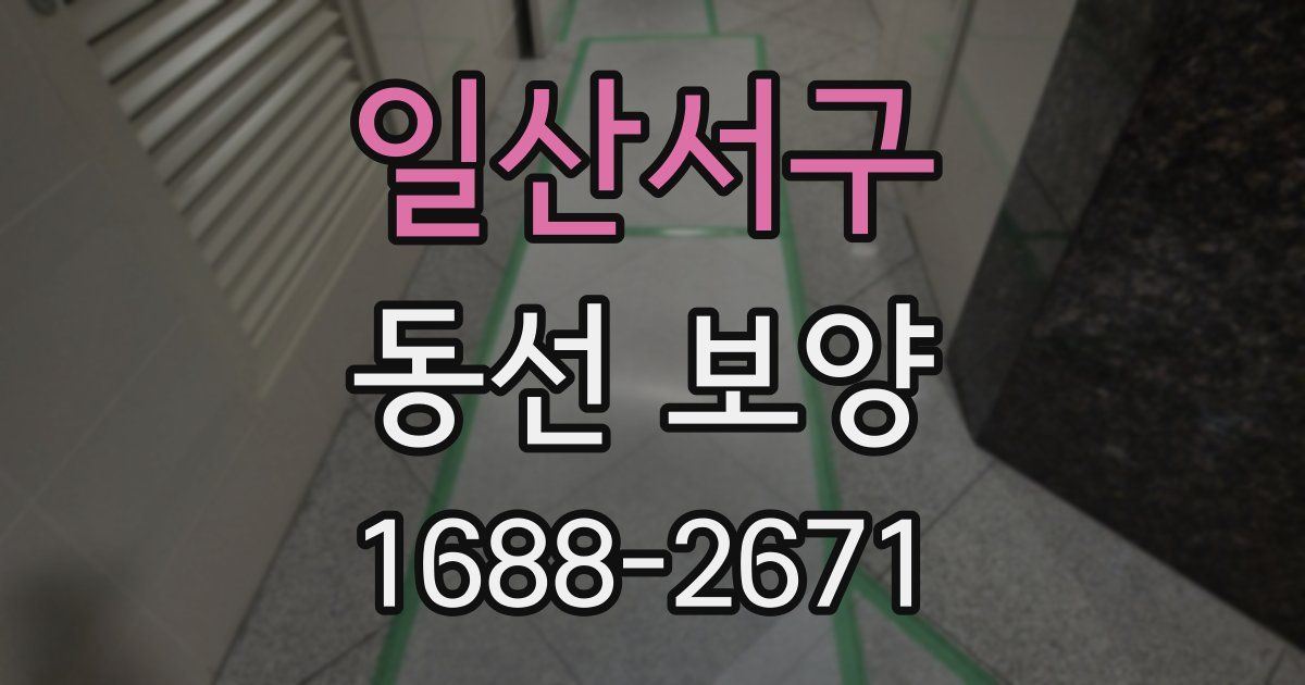 일산서구 동선 보양