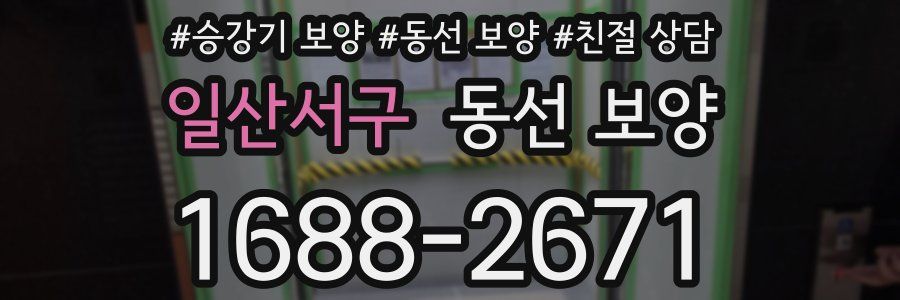 일산서구 동선 보양