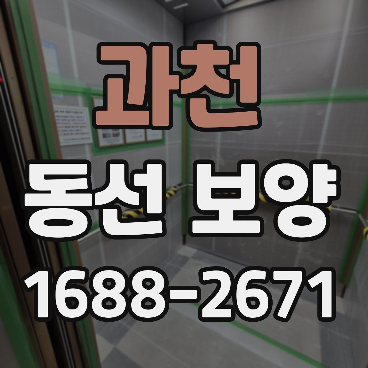 과천 동선 보양 비용 견적을 볼 때 확인할 항목