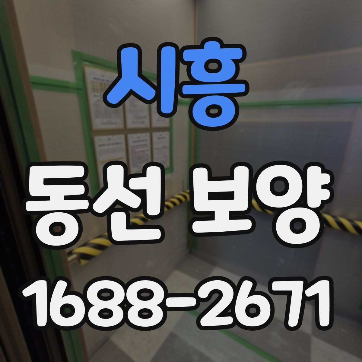 시흥 동선 보양 작업의 마무리를 깔끔하게 하는 방법
