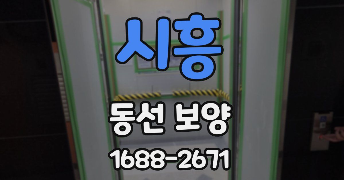 시흥 동선 보양