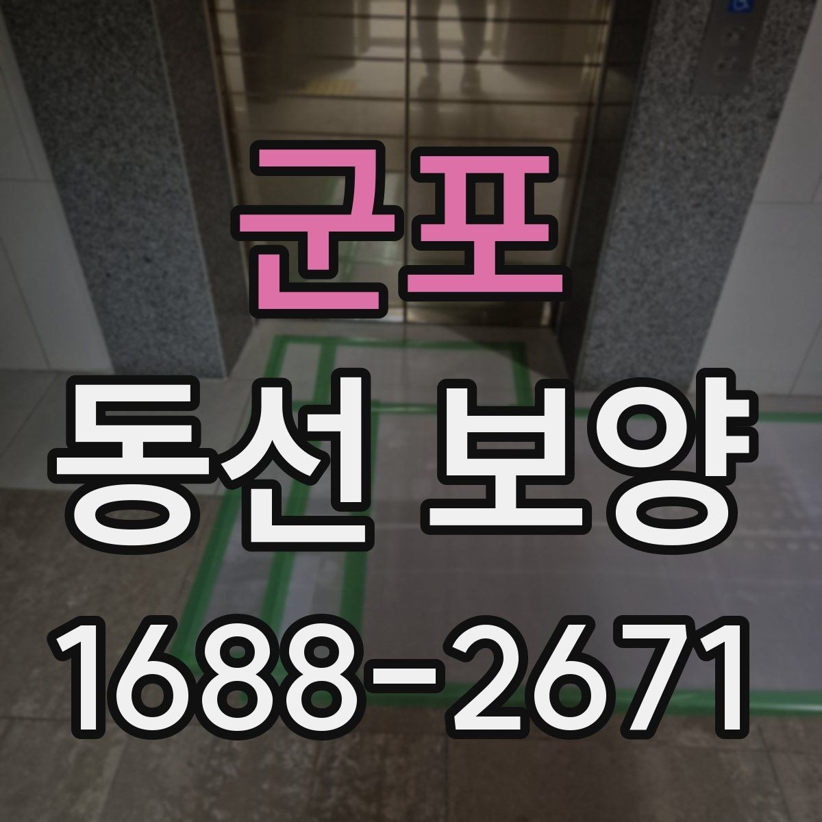 군포 동선 보양 진행 과정에서 반복되는 실수