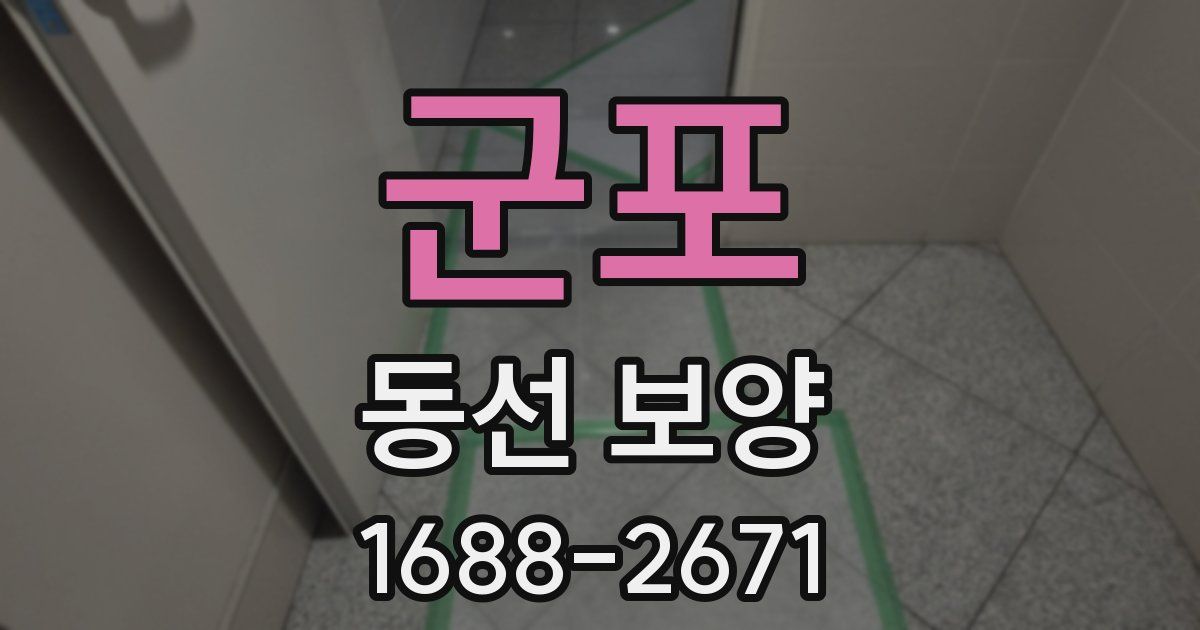 군포 동선 보양