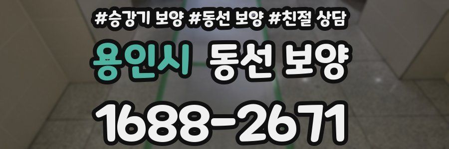 용인시 동선 보양
