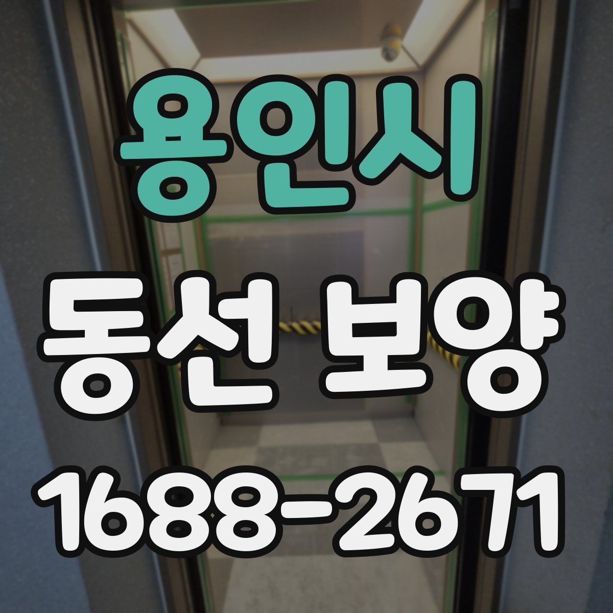 용인시 동선 보양
