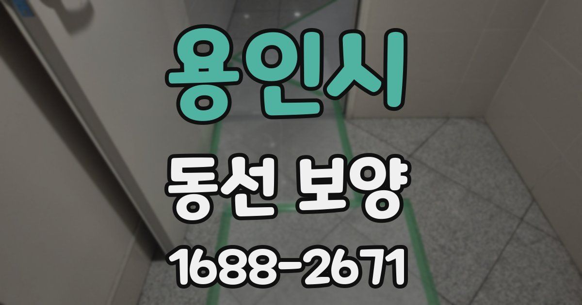 용인시 동선 보양