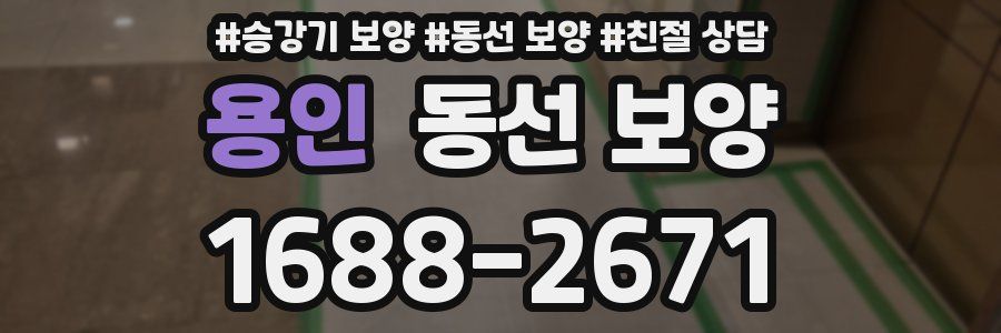 용인 동선 보양