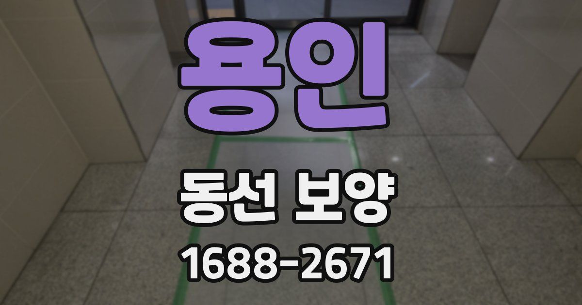 용인 동선 보양
