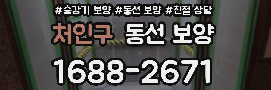 처인구 동선 보양