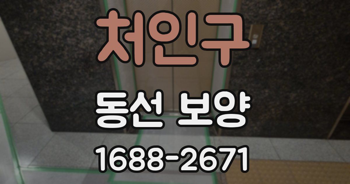 처인구 동선 보양