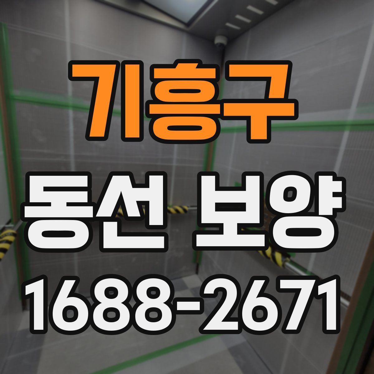 기흥구 동선 보양
