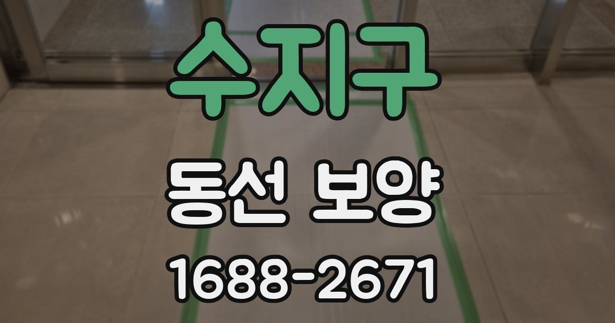 수지구 동선 보양