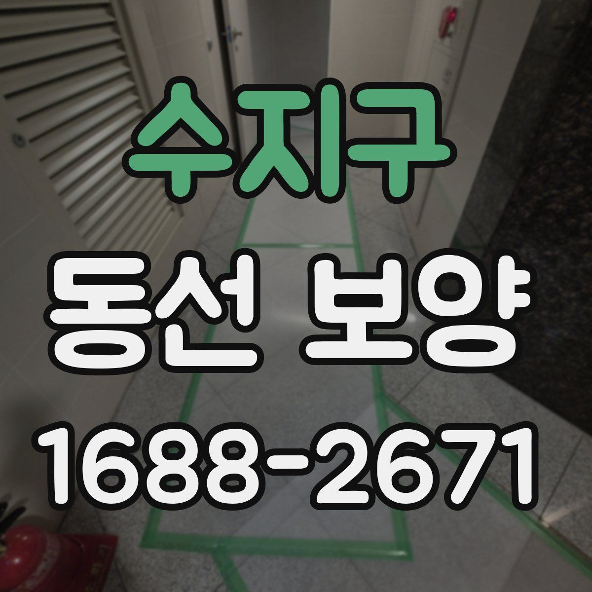 수지구 동선 보양